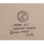 Krzysztof i Michał Powałka (ur. 1984), Próba sił, 2016