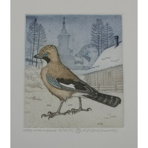 Marian Pawel Bocianowski, Non-traveling jay