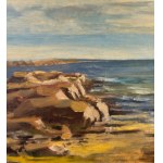 UNIDENTIFIED SIGNATURE, Seascape