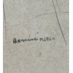 SCUOLA ITALIANA, Postać