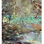 ANONIMO, Wooded landscape