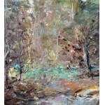 ANONIMO, Wooded landscape