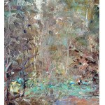 ANONIMO, Wooded landscape