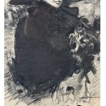 PIETRO SCOPPETTA, Portrait of an elegant woman - Pietro Scoppetta