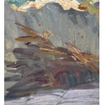 ANONIMO, Country road