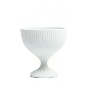 Cup Medusa