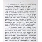 M. R. Wierzbinski - Ludwik Mieroslawski - Portrait - Poznan 1916.