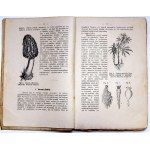 Heilpern M. - Principles of botany - Warsaw 1922 [ 281 drawings ].
