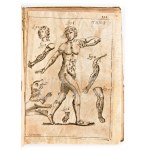 [Anatomia] Pascoli, Alessandro : Il corpo-umano, o breve storia, dove con nuovo metodo si descrivono in compendio tutti gli organi suoi, e i loro principali ufizi... G. Costantini & A. Poletti, in Perugia & Venezia 1700