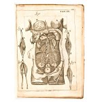 [Anatomia] Pascoli, Alessandro : Il corpo-umano, o breve storia, dove con nuovo metodo si descrivono in compendio tutti gli organi suoi, e i loro principali ufizi... G. Costantini & A. Poletti, in Perugia & Venezia 1700