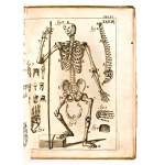 [Anatomia] Pascoli, Alessandro : Il corpo-umano, o breve storia, dove con nuovo metodo si descrivono in compendio tutti gli organi suoi, e i loro principali ufizi... G. Costantini & A. Poletti, in Perugia & Venezia 1700