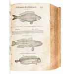 [Erbario] Mattioli, Pietro Andrea : I discorsi di m. Pietro Andrea Matthioli ... nelli sei libri di Pedacio Discoride Anazarbeo della materia medicinale... In Venetia, appresso Vincenzo Valgrisi, 1568
