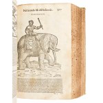 [Erbario] Mattioli, Pietro Andrea : I discorsi di m. Pietro Andrea Matthioli ... nelli sei libri di Pedacio Discoride Anazarbeo della materia medicinale... In Venetia, appresso Vincenzo Valgrisi, 1568