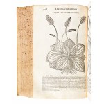 [Erbario] Mattioli, Pietro Andrea : I discorsi di m. Pietro Andrea Matthioli ... nelli sei libri di Pedacio Discoride Anazarbeo della materia medicinale... In Venetia, appresso Vincenzo Valgrisi, 1568
