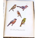 SOKOLOWSKI - BIRDS OF THE POLISH LANDS VOL.1 1936