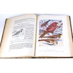 SOKOLOWSKI - BIRDS OF THE POLISH LANDS VOL.1 1936