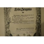 Master diploma for a horticulturist from the village of Miedzianka , issued Liebau 1.IV.1918, a beautiful, decorative diploma.
