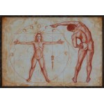 Karolina Obuchowska, Vitruvian Woman, 2024