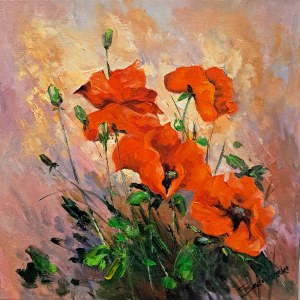 Tomasz Bednarski, Papaveri
