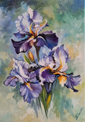 Tomasz Bednarski, Irises