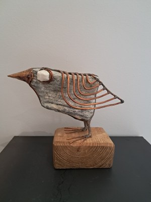 Jacek Drzymała, Ptaszek duży