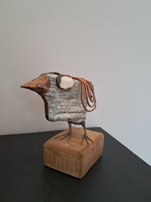 Jacek Drzymała, Ptaszek duży