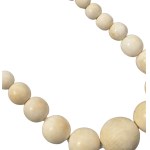 Bone necklace