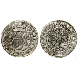 Prusy Książęce (1525-1657), szeląg, 1550, Królewiec