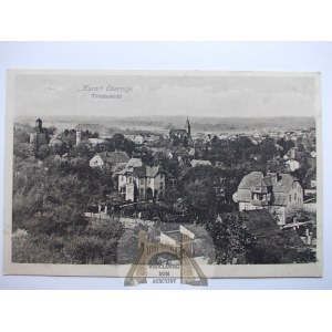 Oborniki Ślaskie, Obernigk, panorama, 1916