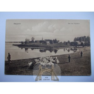 Margonin, lac, maison de pêcheur, 1912