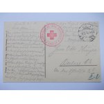 Leszno, Lissa, Ackerstrasse, 1915
