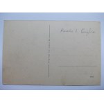Kranice near Gryfice, palace, ca. 1920