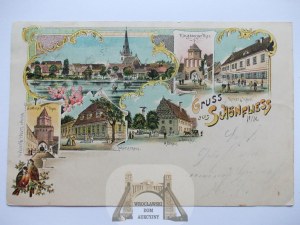 Trzcińsko Zdrój, lithograph, 1905