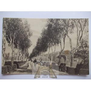 Kadyny bei Elbląg, Straße, 1914