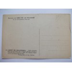 Białowieża, mokradła, ok. 1920