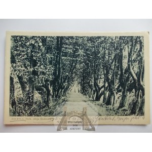 Leczyca, park, Grabowa Avenue, 1939