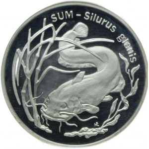 20 złotych 1995, Sum