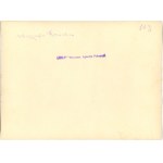 Wystawa Sztuki Ludowej, Warszawska Agencja Fotograficzna, 17 fotografii, ok. 1920.