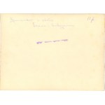 Wystawa Sztuki Ludowej, Warszawska Agencja Fotograficzna, 17 fotografii, ok. 1920.