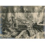 Wystawa Sztuki Ludowej, Warszawska Agencja Fotograficzna, 17 fotografii, ok. 1920.