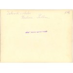 Wystawa Sztuki Ludowej, Warszawska Agencja Fotograficzna, 17 fotografii, ok. 1920.