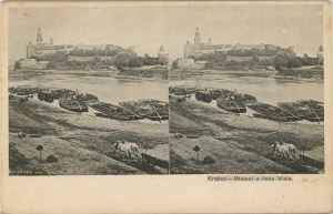 Krakow - Wawel Castle, stereoscopic, 1904.