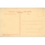 Kamieniec Podolski - Ogólny widok, ok. 1905.