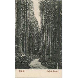 Krynica - Siegler's sidewalk, ca. 1910.