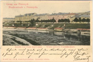Przemyśl - View of the Franz Josef Coast, 1902.