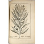 Breyne Jacob - Jacobi Breynii Gedanensis Exoticarum aliarumque Minus Cognitarum Plantarum Centuria Prima, cum Figuris Aenis Summo studio elaboratis. Gedani [Gdańsk] 1678 Typis, symptibus & in aedibus autoris, Imprimebat David-Fridericus Rhetius.