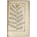 Breyne Jacob - Jacobi Breynii Gedanensis Exoticarum aliarumque Minus Cognitarum Plantarum Centuria Prima, cum Figuris Aenis Summo studio elaboratis. Gedani [Gdańsk] 1678 Typis, symptibus & in aedibus autoris, Imprimebat David-Fridericus Rhetius.