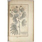 Breyne Jacob - Jacobi Breynii Gedanensis Exoticarum aliarumque Minus Cognitarum Plantarum Centuria Prima, cum Figuris Aenis Summo studio elaboratis. Gedani [Gdańsk] 1678 Typis, symptibus & in aedibus autoris, Imprimebat David-Fridericus Rhetius.