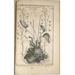 Breyne Jacob - Jacobi Breynii Gedanensis Exoticarum aliarumque Minus Cognitarum Plantarum Centuria Prima, cum Figuris Aenis Summo studio elaboratis. Gedani [Gdańsk] 1678 Typis, symptibus & in aedibus autoris, Imprimebat David-Fridericus Rhetius.