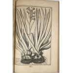 Breyne Jacob - Jacobi Breynii Gedanensis Exoticarum aliarumque Minus Cognitarum Plantarum Centuria Prima, cum Figuris Aenis Summo studio elaboratis. Gedani [Gdańsk] 1678 Typis, symptibus & in aedibus autoris, Imprimebat David-Fridericus Rhetius.